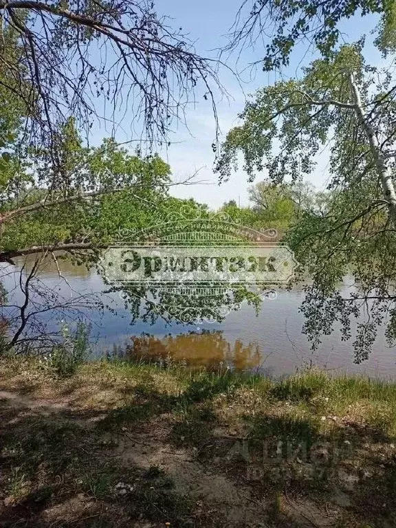 Дом в Курганская область, Курган Промжелезобетон СНТ, ул. Набережная ... - Фото 2