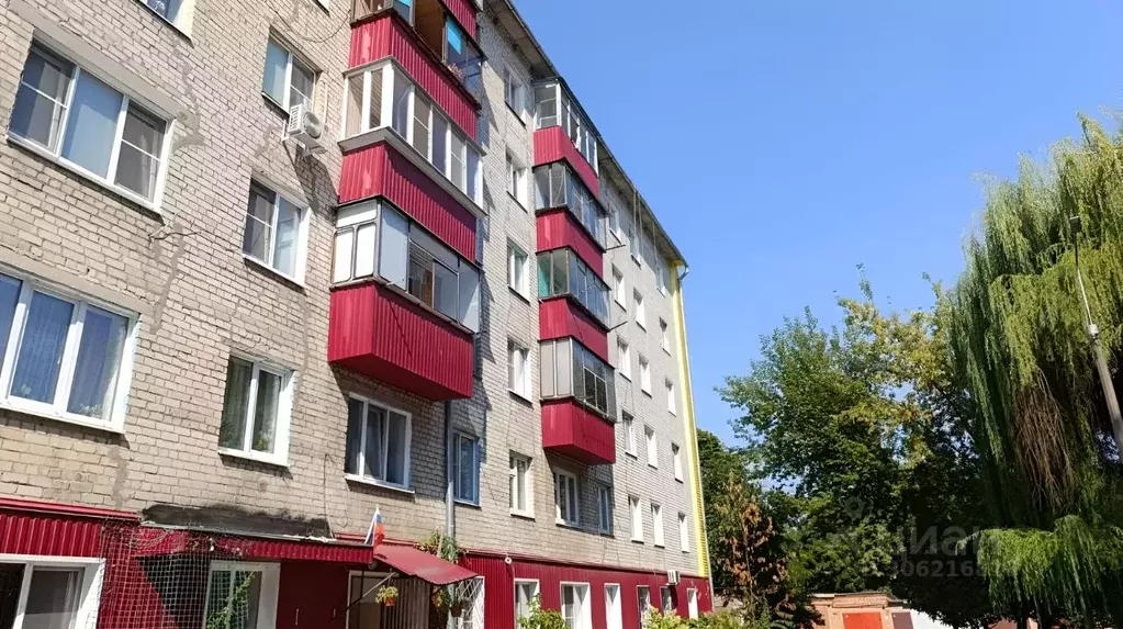 Комната Курская область, Курск ул. Карла Маркса, 71Б (24.0 м) - Фото 0