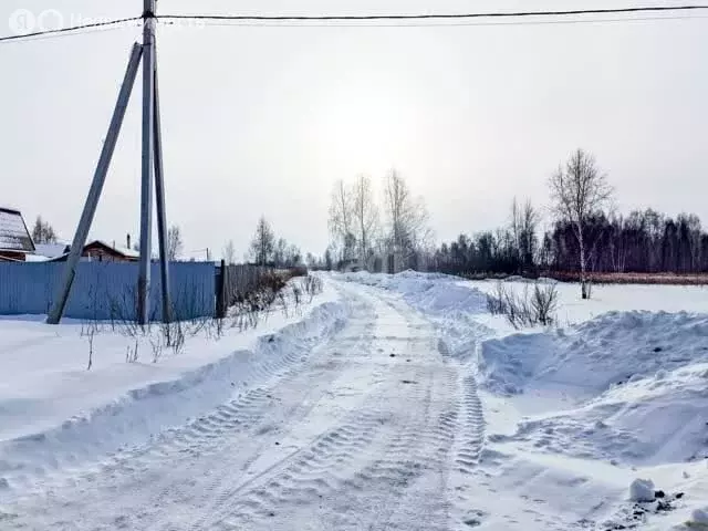 Участок в Тюмень, садовое товарищество Поле Чудес, Розовый переулок ... - Фото 1