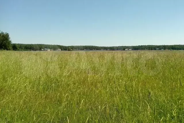 Участок 6,7 сот. (ИЖС) - Фото 0