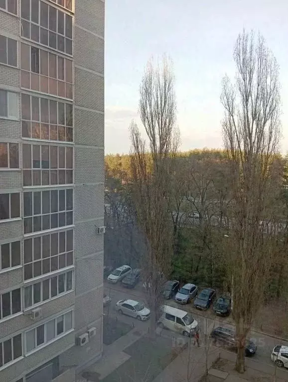 2-к кв. Воронежская область, Воронеж Московский просп., 149а (50.0 м) - Фото 1
