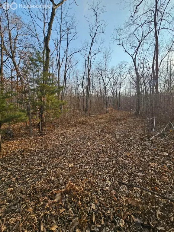 Участок в Владивосток, Советский район (7.16 м) - Фото 2