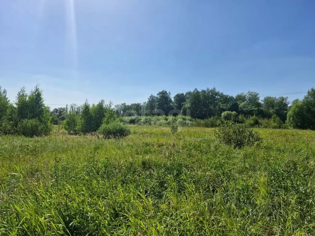Участок в Московская область, Воскресенск городской округ, д. Старая  ... - Фото 2