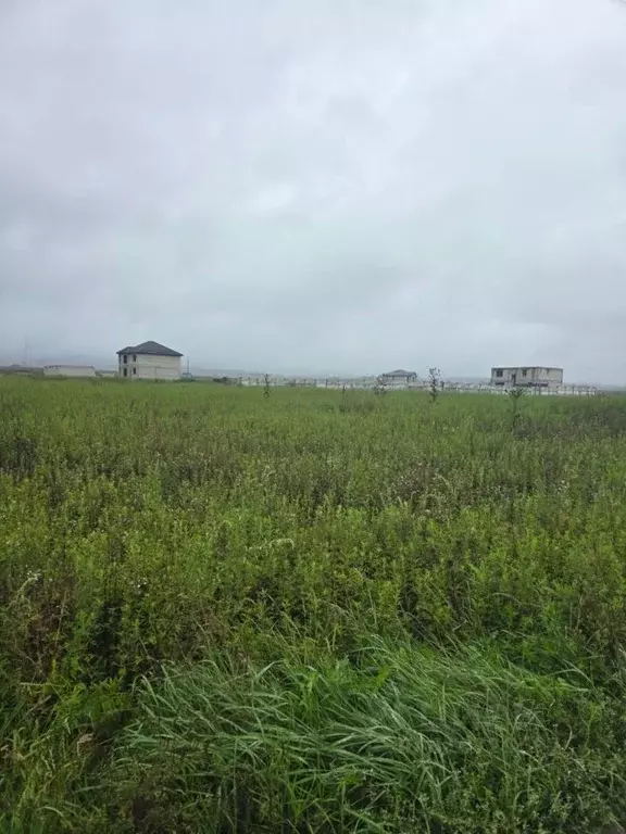 Участок в Кабардино-Балкария, Нальчик Лесовод СТ, 52А (20.0 сот.) - Фото 1