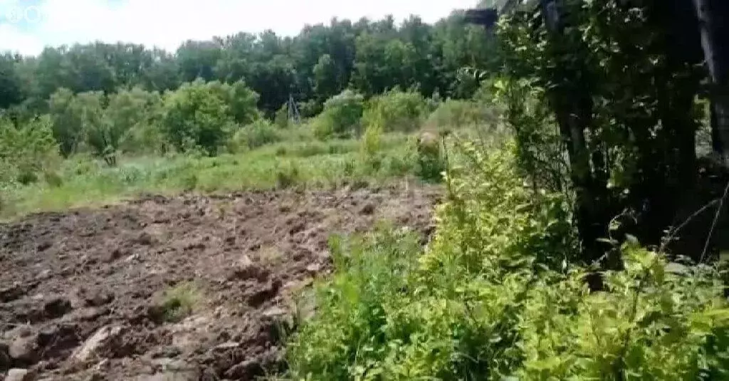 Участок в Хабаровск, садовое товарищество Урожай (7 м) - Фото 0
