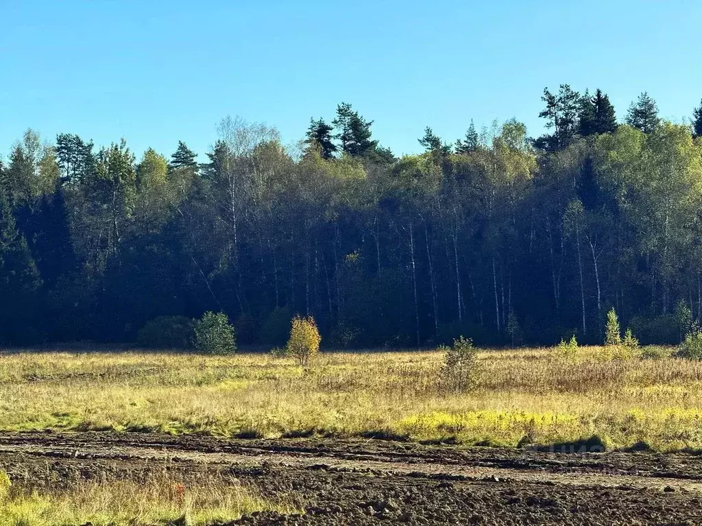 Участок в Московская область, Дмитровский муниципальный округ, Ерыково ... - Фото 1