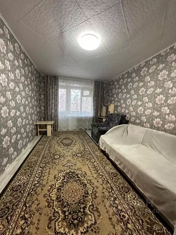 1-к кв. Пермский край, Краснокамск ул. Калинина, 14 (30.0 м) - Фото 1