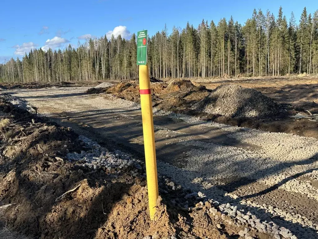 Участок в Ленинградская область, Всеволожский район, Агалатовское ... - Фото 2