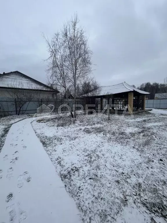 Участок в Тюменская область, Тюмень Сигнал садовое товарищество, ул. ... - Фото 1