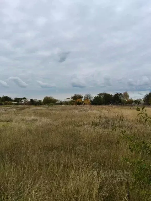 Участок в Ростовская область, Неклиновский район, Платовское с/пос, с. ... - Фото 1