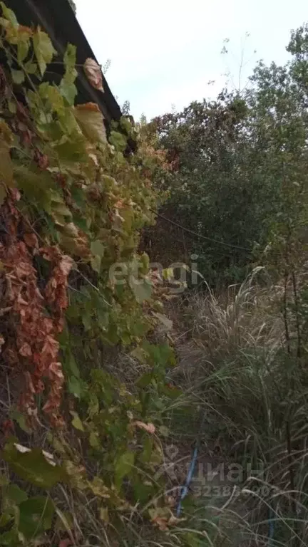 Участок в Ростовская область, Ростов-на-Дону Сирень СНТ,  (6.2 сот.) - Фото 1