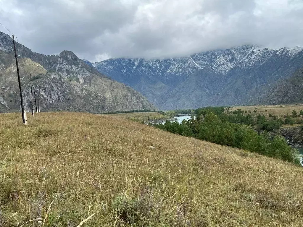 Участок в Алтай, Чемальский район, с. Куюс Центральная ул. (1.0 сот.) - Фото 0