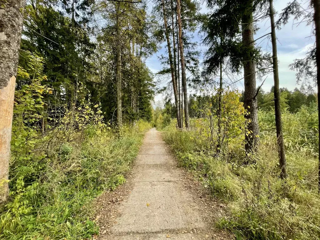 Продается участок в д. Здехово - Фото 2