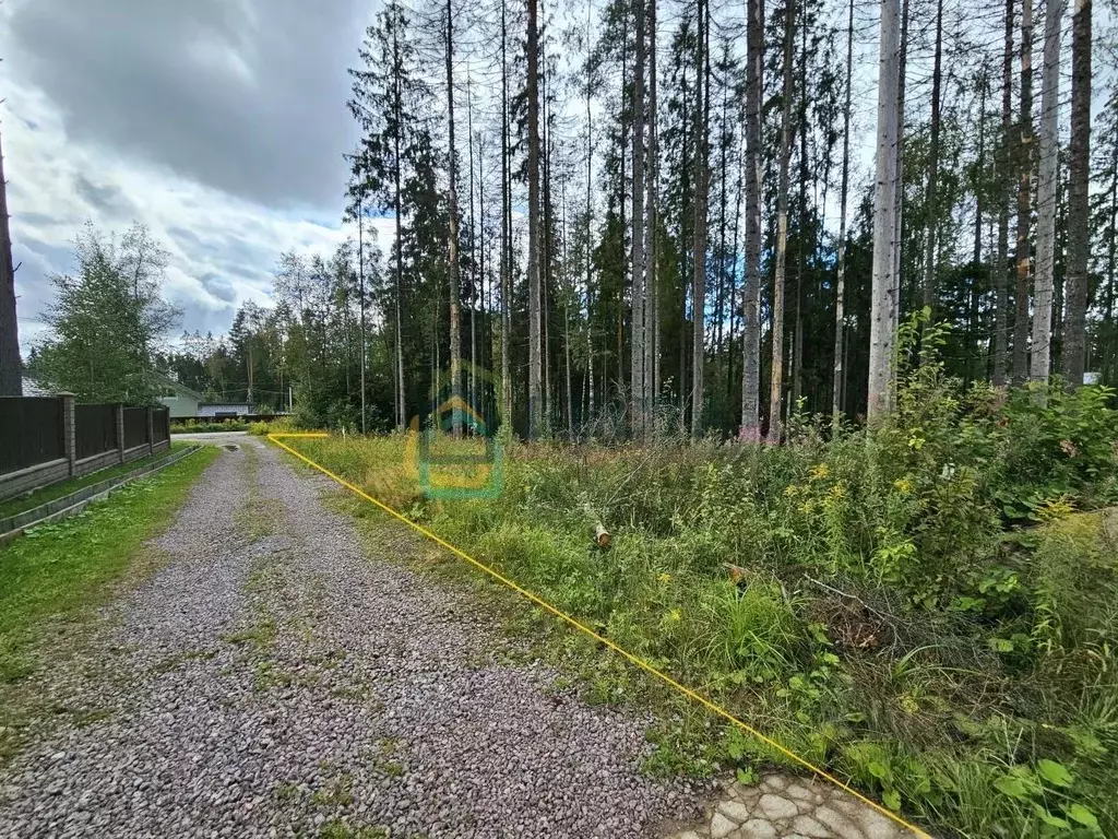 Участок в Ленинградская область, Сертолово Всеволожский район, Медное ... - Фото 1