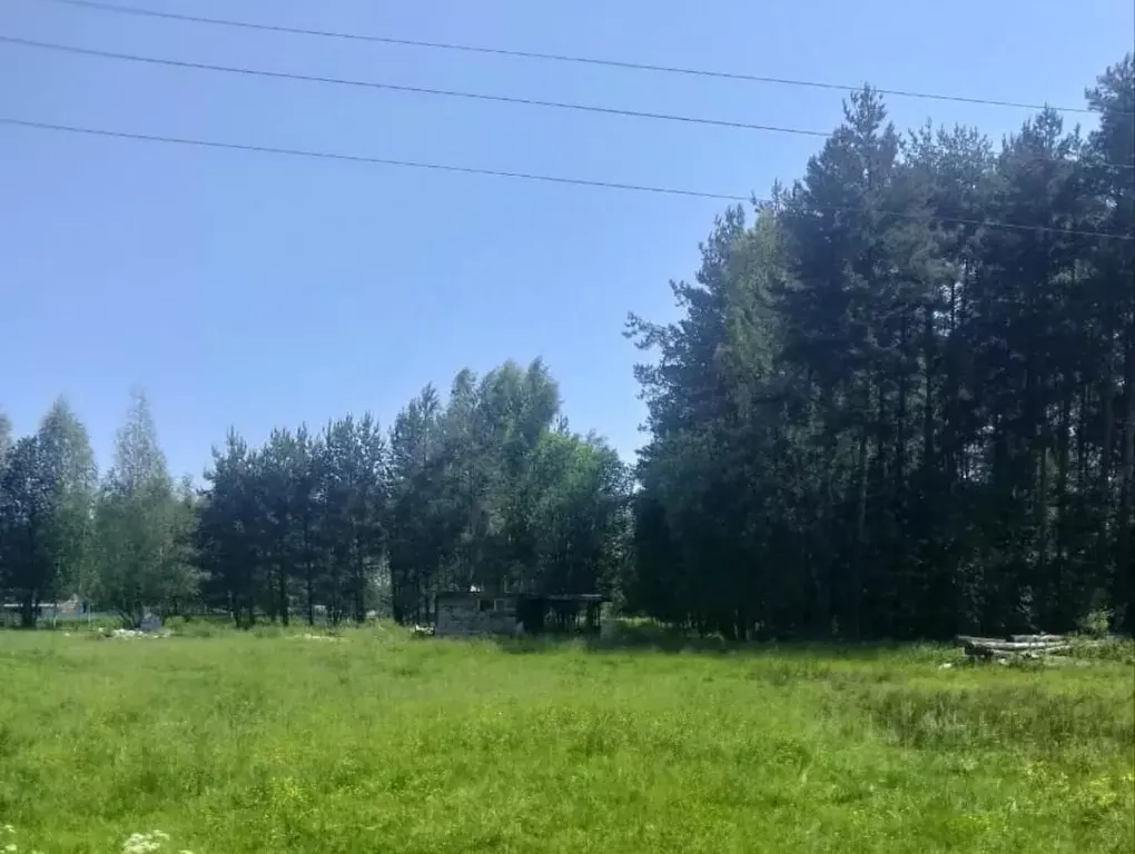 Участок в Тверская область, Калининский муниципальный округ, д. ... - Фото 2