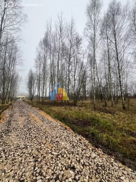 Участок в Щёкинский район, сельское поселение Яснополянское, деревня ... - Фото 1