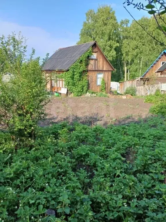 Дом в Красноярский край, Емельяновский муниципальный округ, Сухая ... - Фото 1