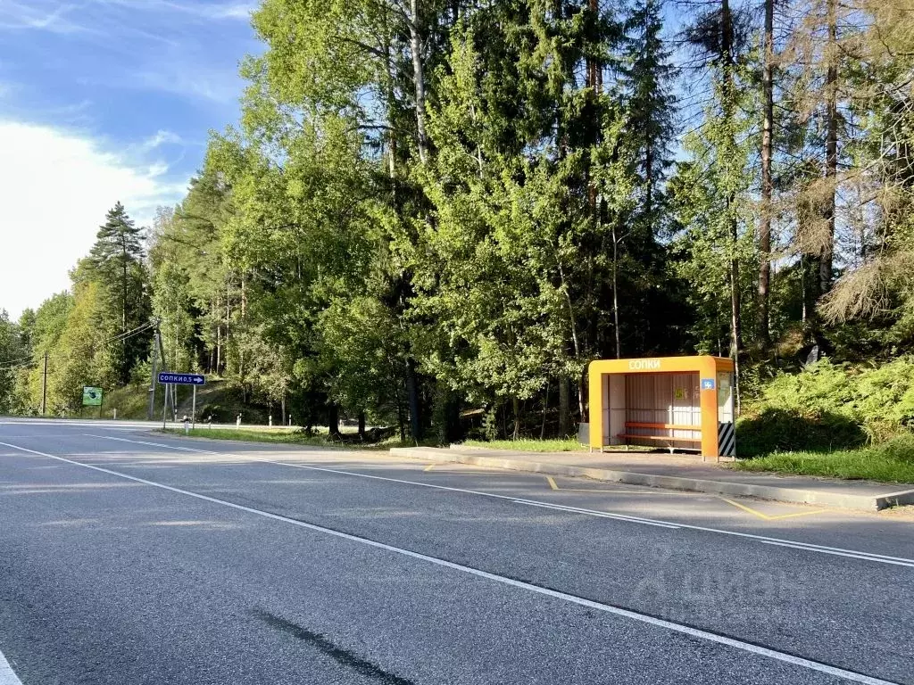 Участок в Ленинградская область, Выборгский район, Полянское с/пос, ... - Фото 1