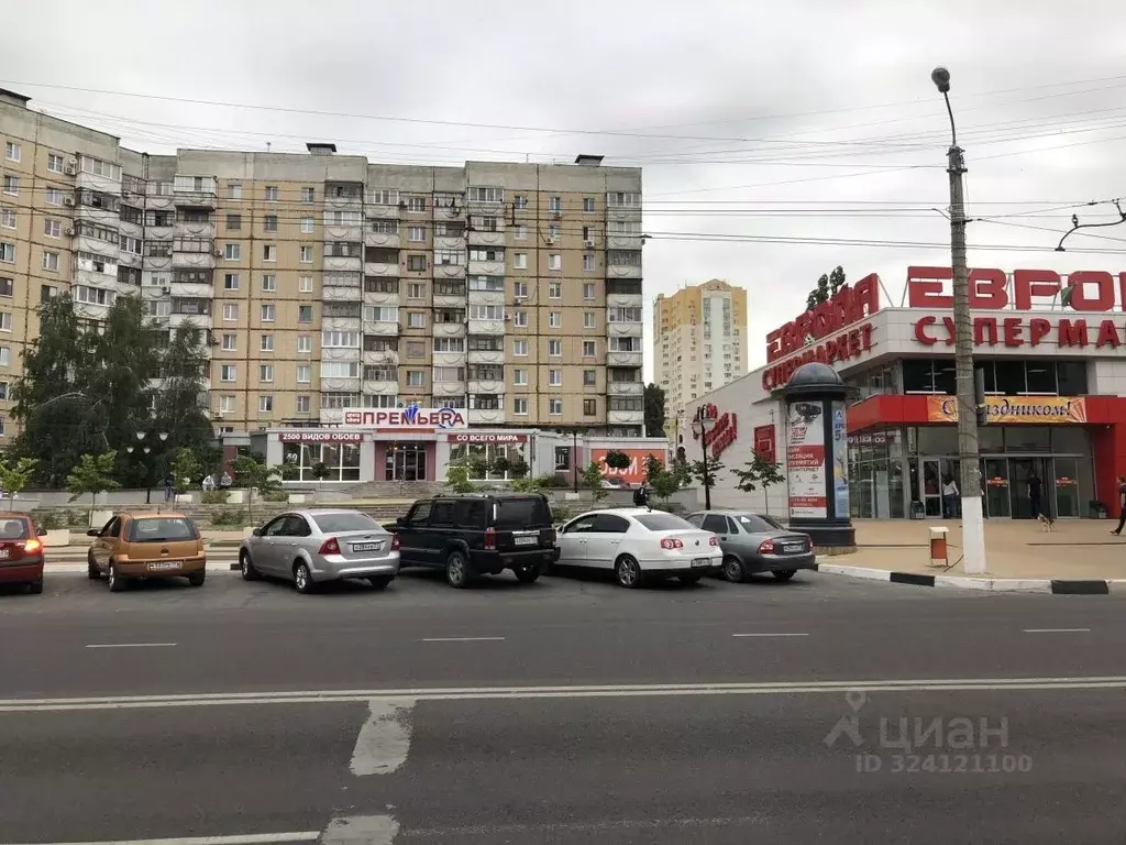 Торговая площадь в Белгородская область, Белгород Белгородский просп., ... - Фото 1