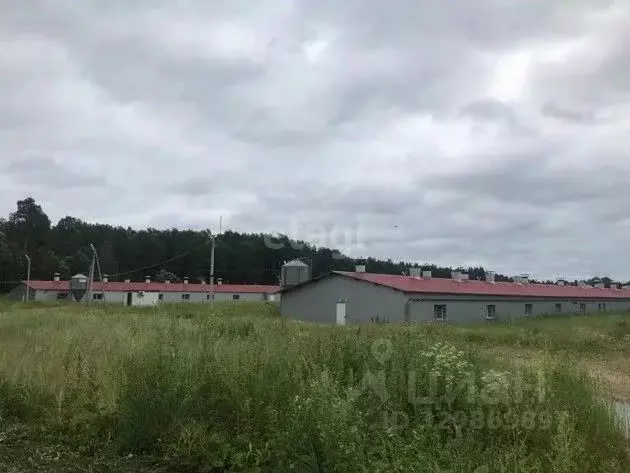 Склад в Калужская область, Юхновский муниципальный округ, Беляево ... - Фото 1