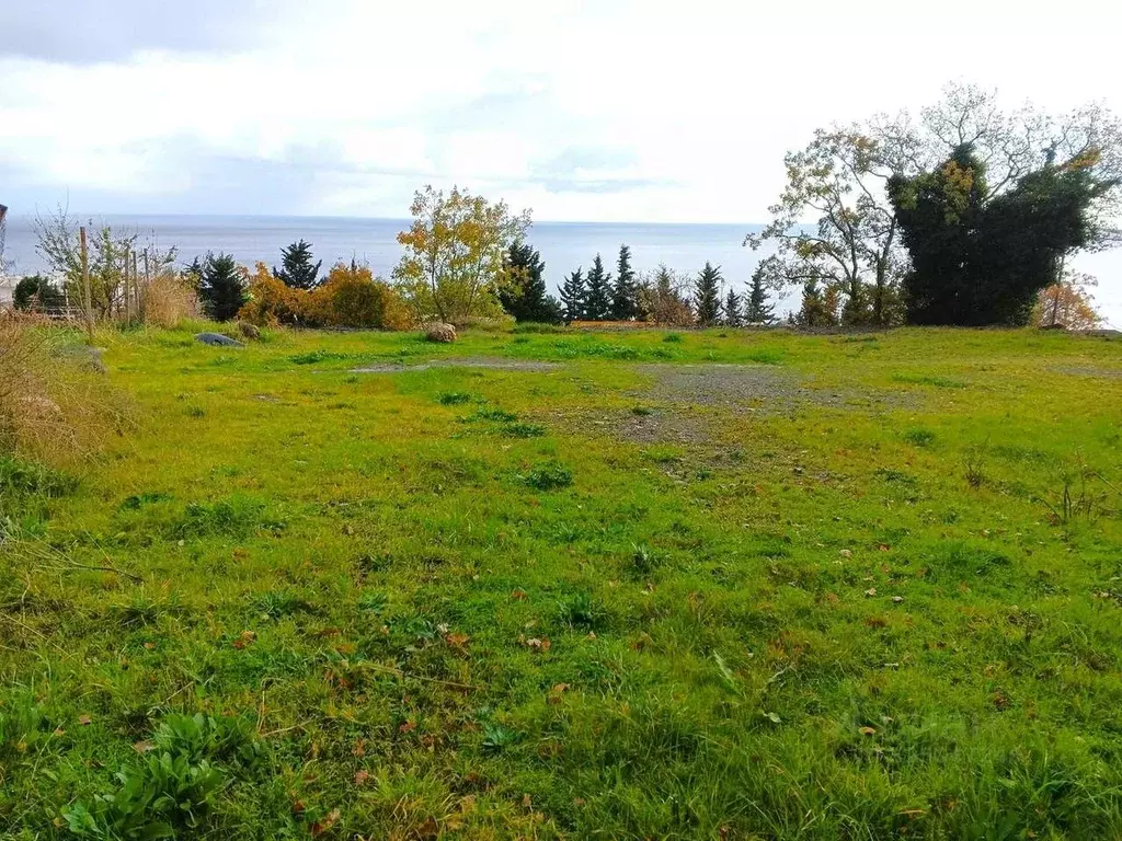 Участок в Крым, Алушта муниципальный округ, пос. Бондаренково ул. ... - Фото 1