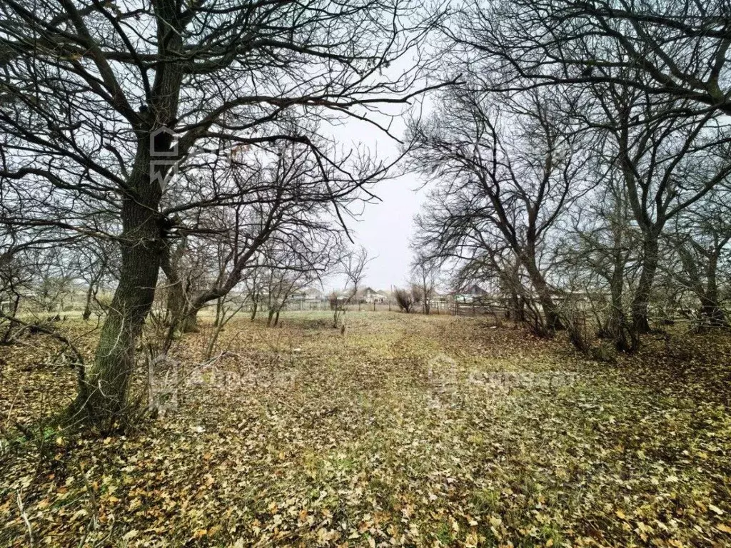Участок в Волгоградская область, Среднеахтубинский район, Фрунзенское ... - Фото 1