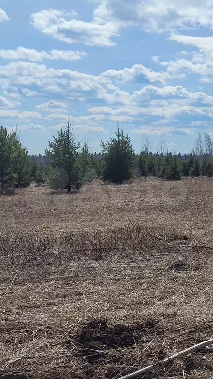 Участок 6,7 сот. (ИЖС) - Фото 0
