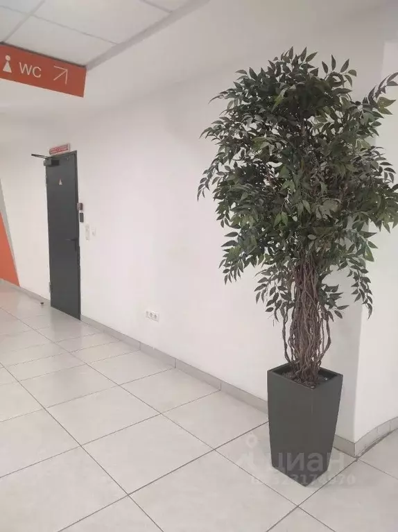 Помещение свободного назначения в Татарстан, Казань Петербургская ул., ... - Фото 2