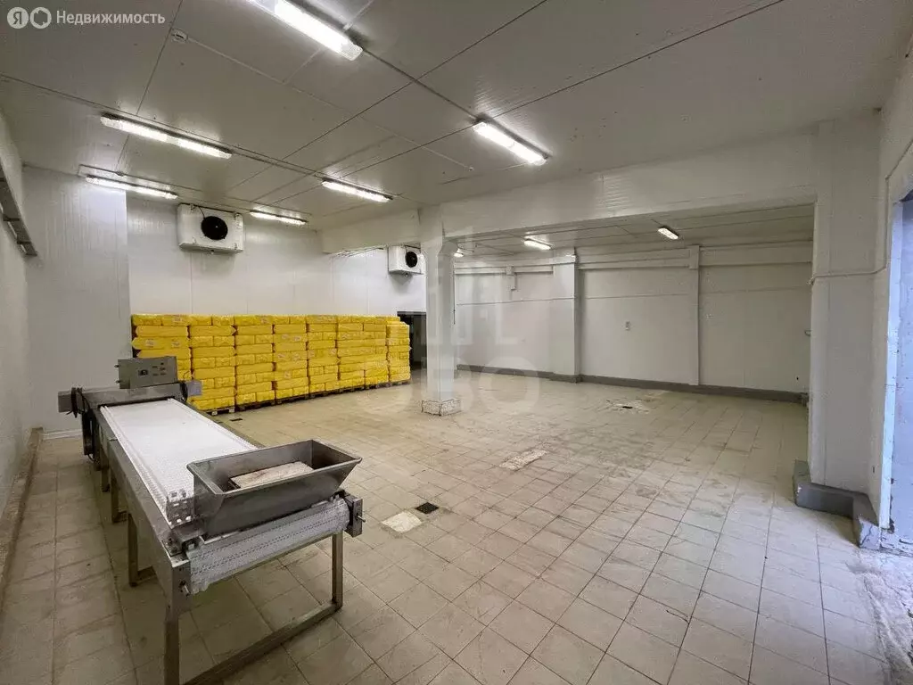 Склад (260 м) - Фото 2