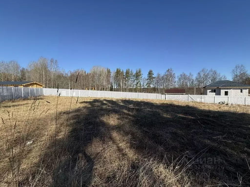 Участок в Ленинградская область, Приозерский район, Раздольевское ... - Фото 1