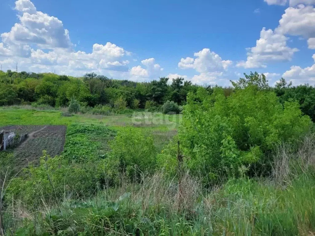 Участок в Белгородская область, Белгородский район, с. Стрелецкое ... - Фото 0