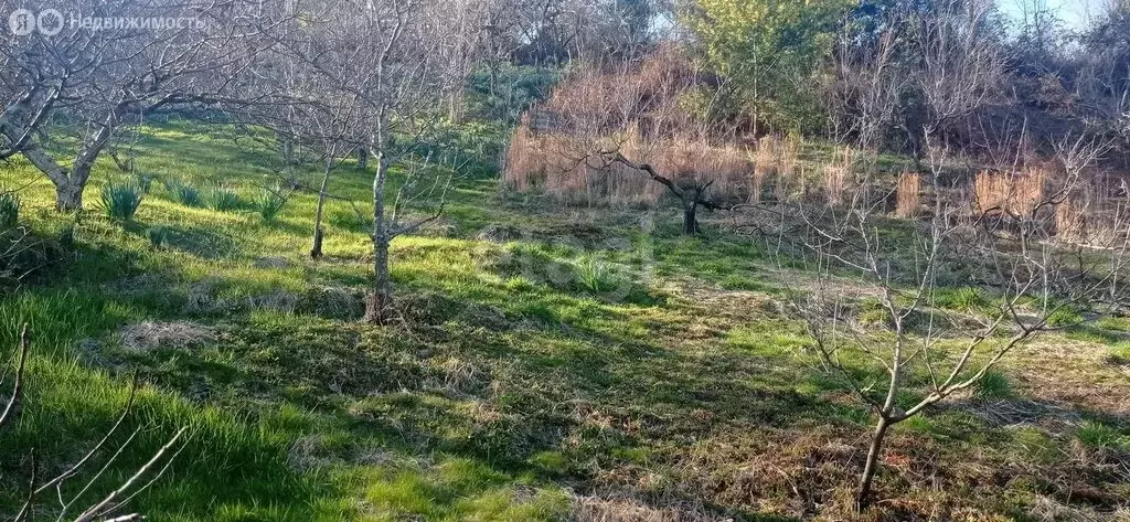 Участок в Краснодарский край, городской округ Сочи, село Верхнее Буу, ... - Фото 0