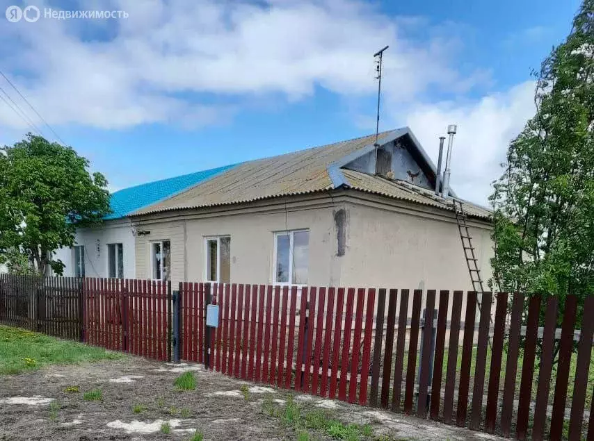 Дом в село Озерки, улица Мира, 11/2 (89.6 м) - Фото 1