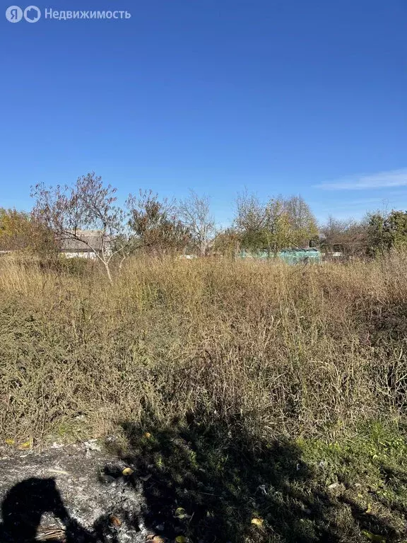 Участок в Новокубанск, улица Лихачёва, 30 (15 м) - Фото 2