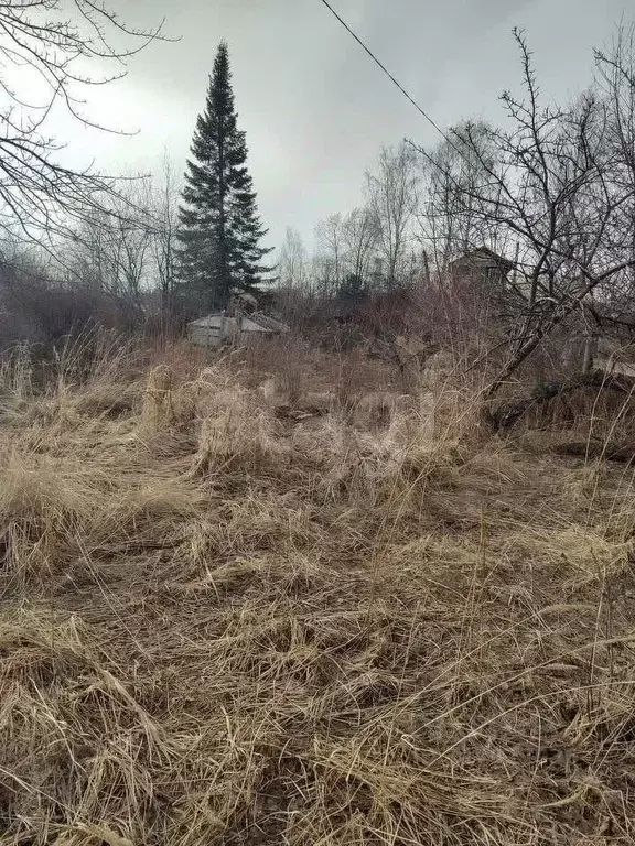 Участок в Свердловская область, Нижний Тагил Домостроитель КС,  (5.7 ... - Фото 0