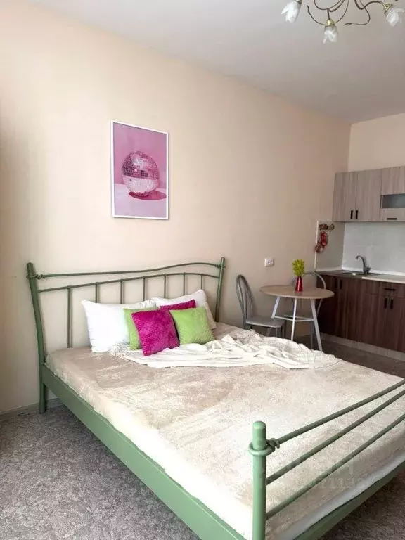 Студия Красноярский край, Красноярск ул. Лесников, 43Б (30.0 м) - Фото 1