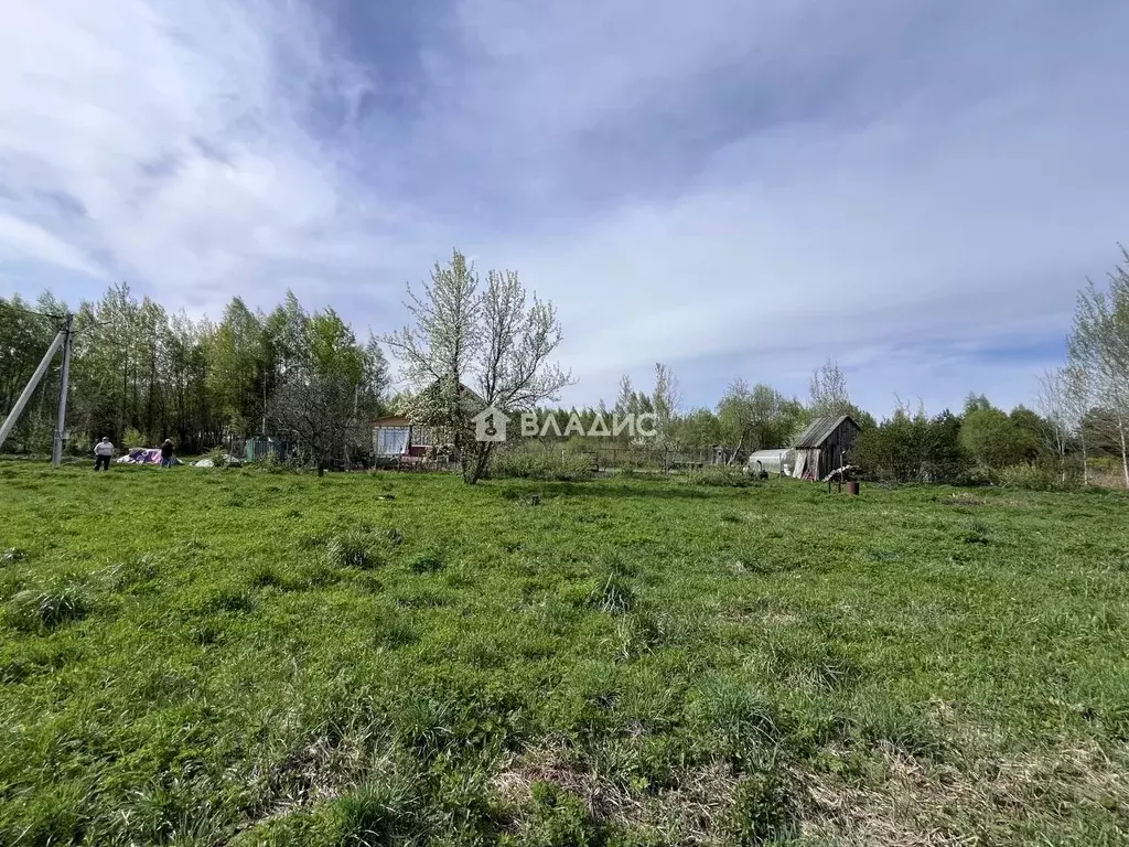 Участок в Владимирская область, Владимир сад Заречье, 34 (10.0 сот.) - Фото 2
