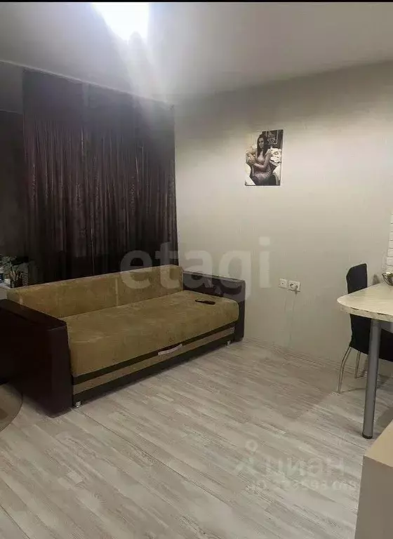 Студия Новосибирская область, Новосибирск ул. Виктора Шевелева, 24 ... - Фото 0