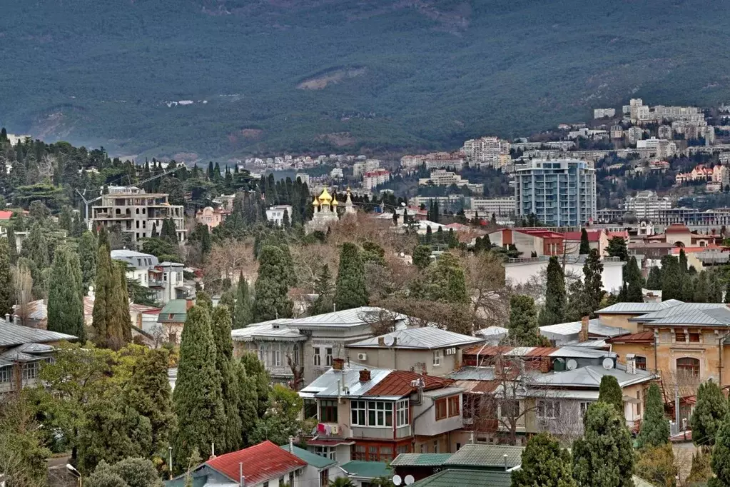 1-к кв. Крым, Ялта ул. Боткинская, 2В (25.0 м) - Фото 2