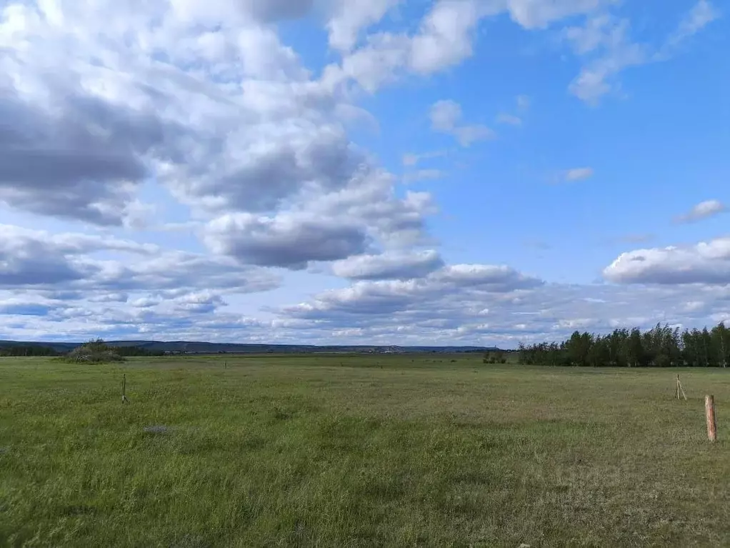 Участок в Саха (Якутия), Якутск городской округ, с. Владимировка ул. ... - Фото 2
