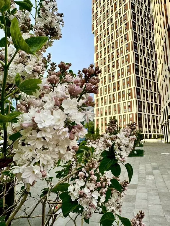 1-к. квартира, 40 м, 14/32 эт. - Фото 0