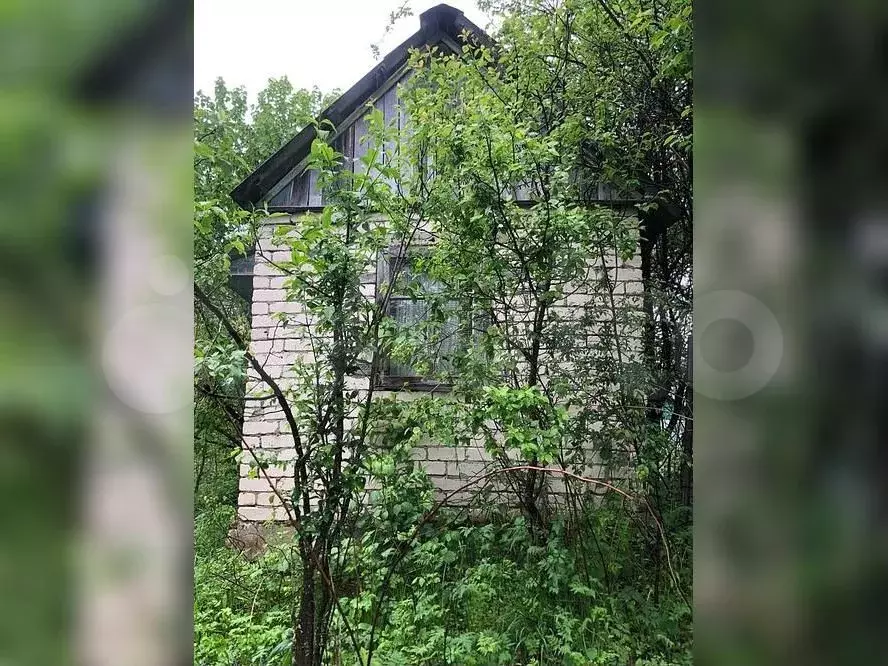 Участок 5 сот. (СНТ, ДНП) - Фото 0