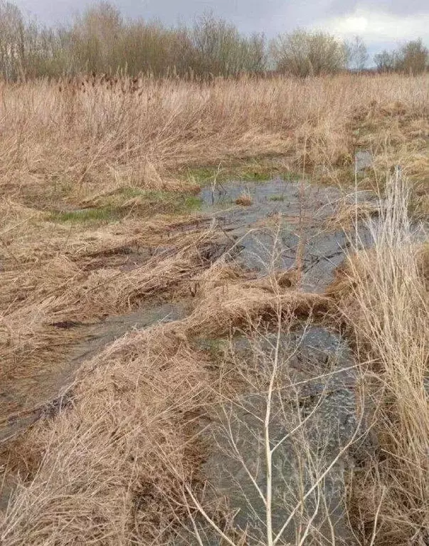 Участок в Хабаровский край, Амурский район, с. Вознесенское  (80.42 ... - Фото 1