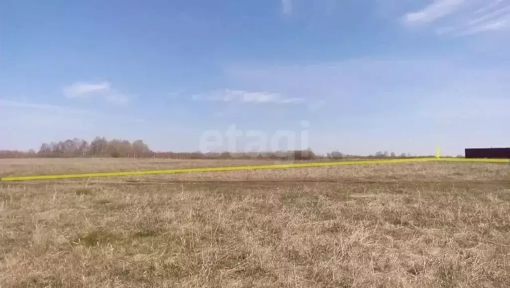 Участок в Челябинская область, Каслинский муниципальный округ, д. ... - Фото 2