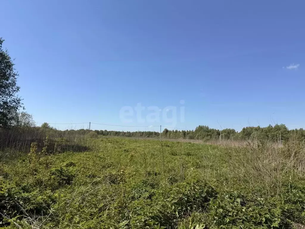 Участок в Смоленская область, Смоленский муниципальный округ, д. Рай ... - Фото 1