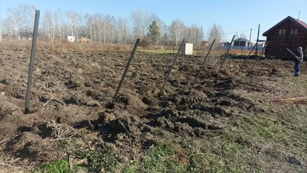 Участок в Новосибирская область, Новосибирский район, Кудряшовский ... - Фото 0