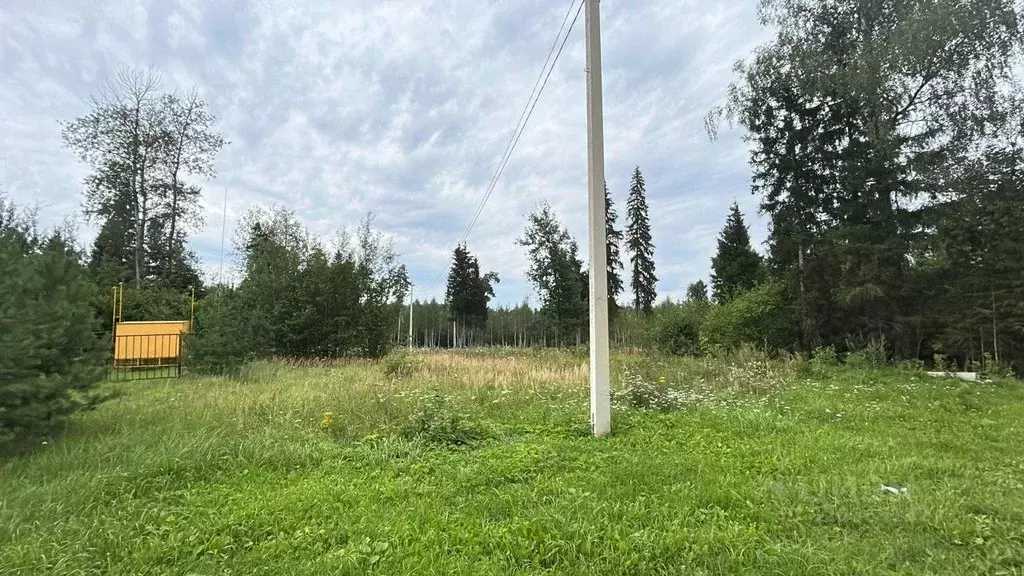 Участок в Московская область, Рузский муниципальный округ, ДТСН ... - Фото 2