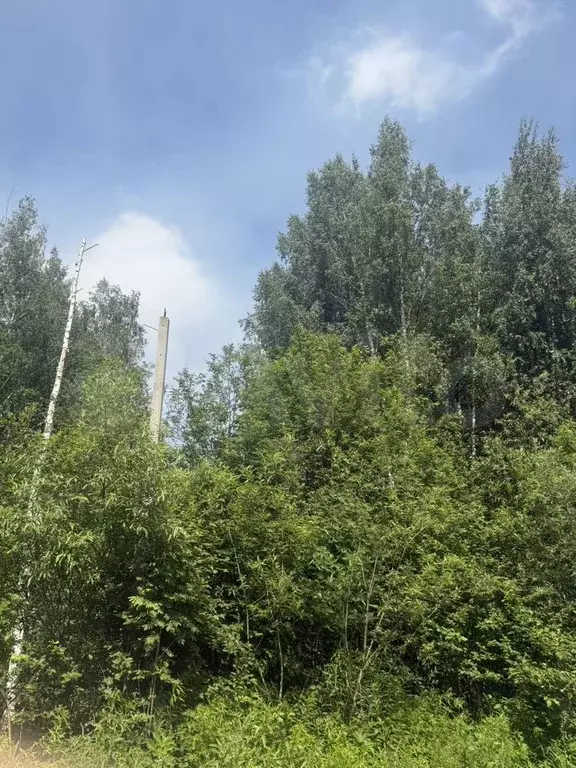 Участок 8 сот. (ИЖС) - Фото 0
