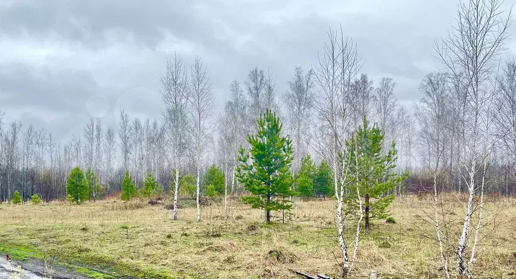 Участок 8,6 сот. (СНТ, ДНП) - Фото 0