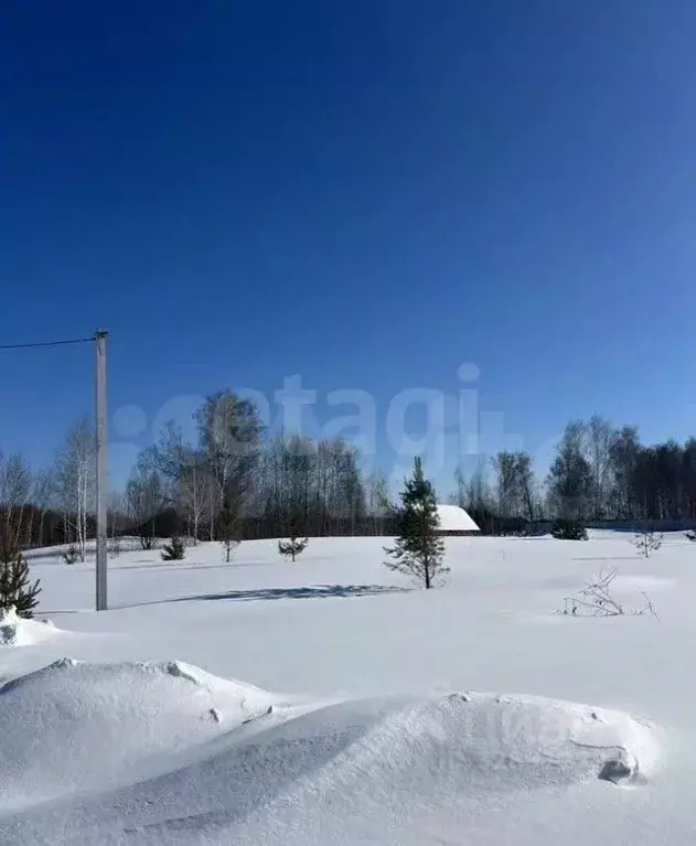 Участок в Томская область, Томский район, Зоркальцевское с/пос, Эдем ... - Фото 2
